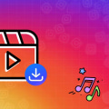 Browser Plugins for Video Downloading